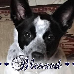 Meet your Posher, Sharron